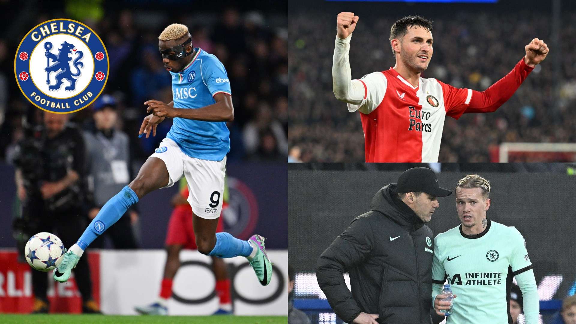 分的机会化 分的机会化